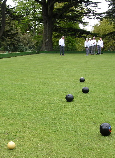 bowls players